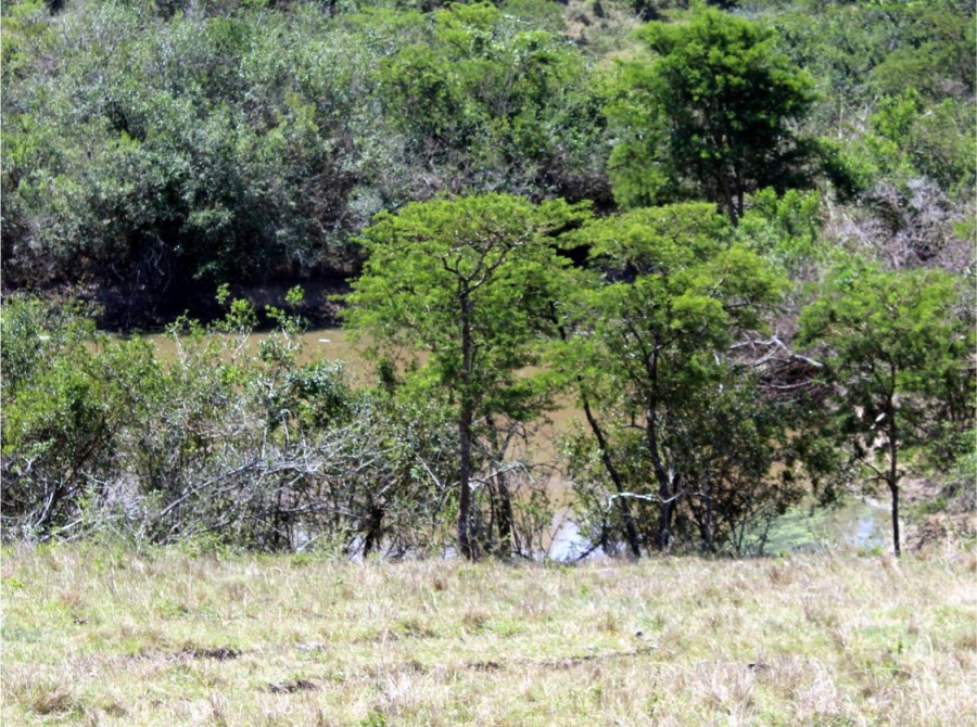 Commercial Property for Sale in Komga Rural Eastern Cape